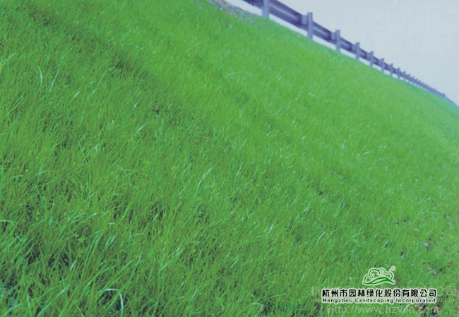 pg电子模拟器(中国)官方网站