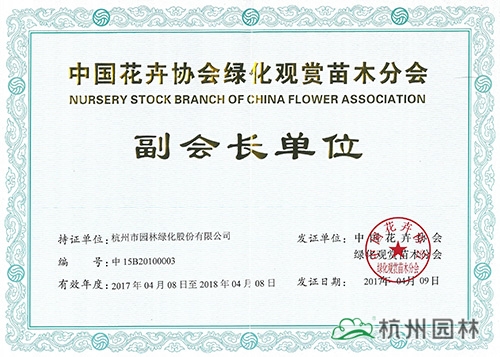 pg电子模拟器(中国)官方网站
