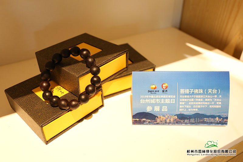 pg电子模拟器(中国)官方网站