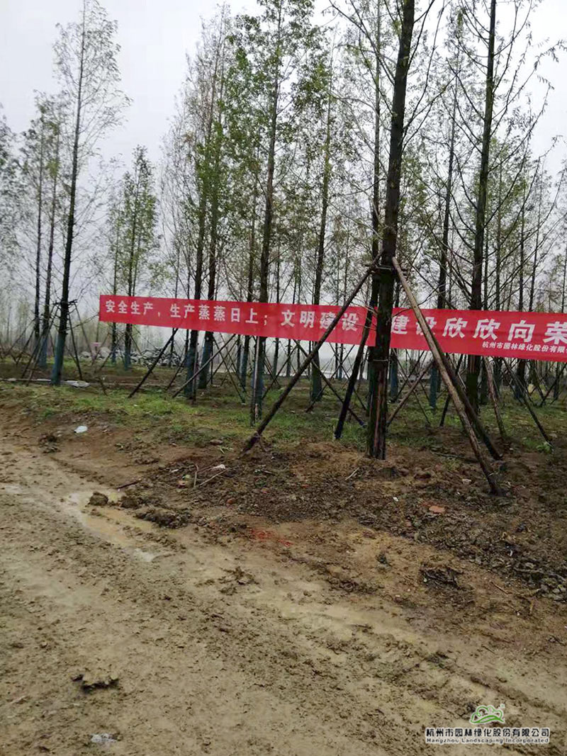 pg电子模拟器(中国)官方网站