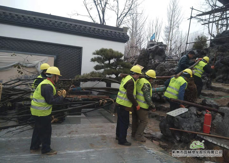 pg电子模拟器(中国)官方网站