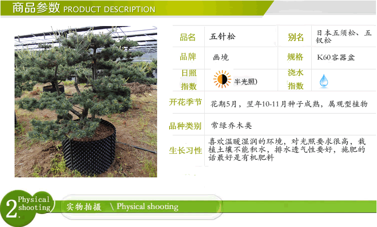 pg电子模拟器(中国)官方网站