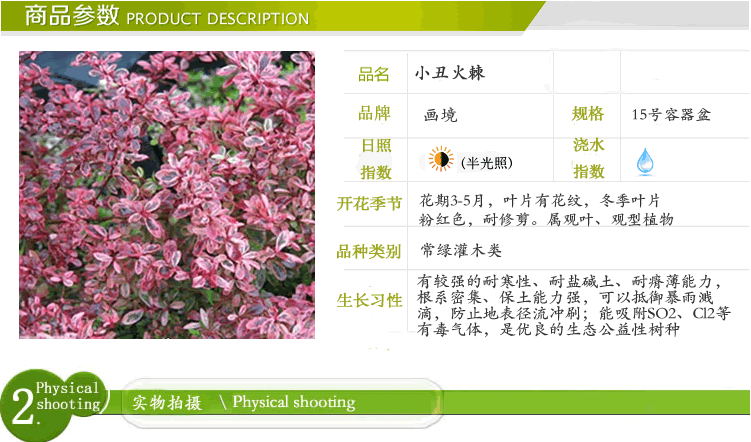 pg电子模拟器(中国)官方网站