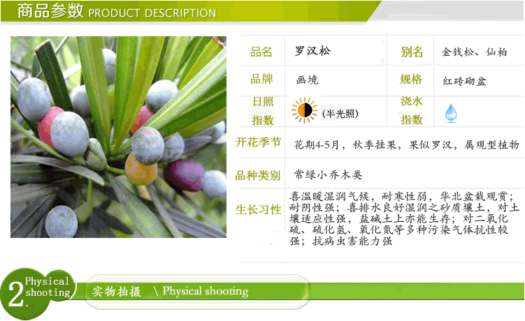 pg电子模拟器(中国)官方网站
