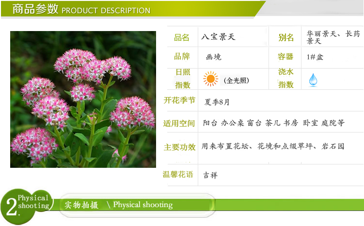 pg电子模拟器(中国)官方网站