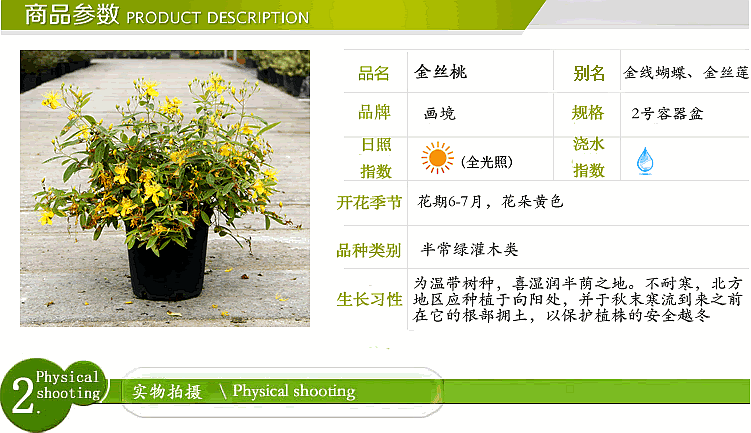 pg电子模拟器(中国)官方网站