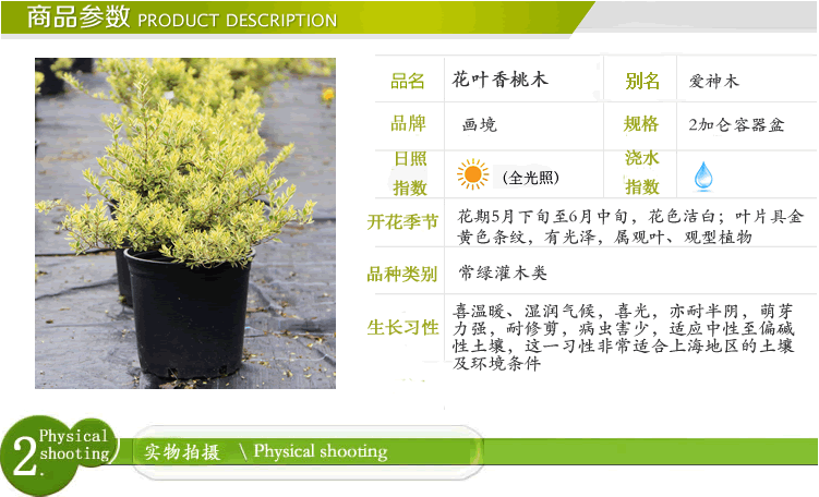 pg电子模拟器(中国)官方网站