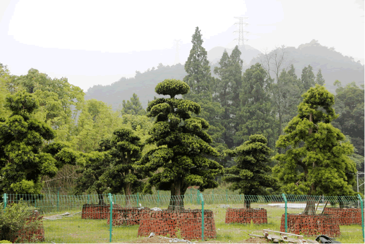 pg电子模拟器(中国)官方网站