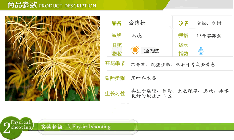 pg电子模拟器(中国)官方网站