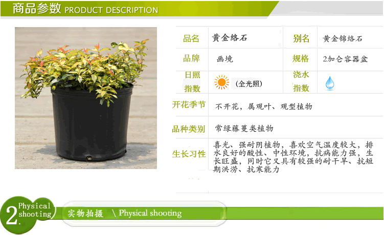 pg电子模拟器(中国)官方网站