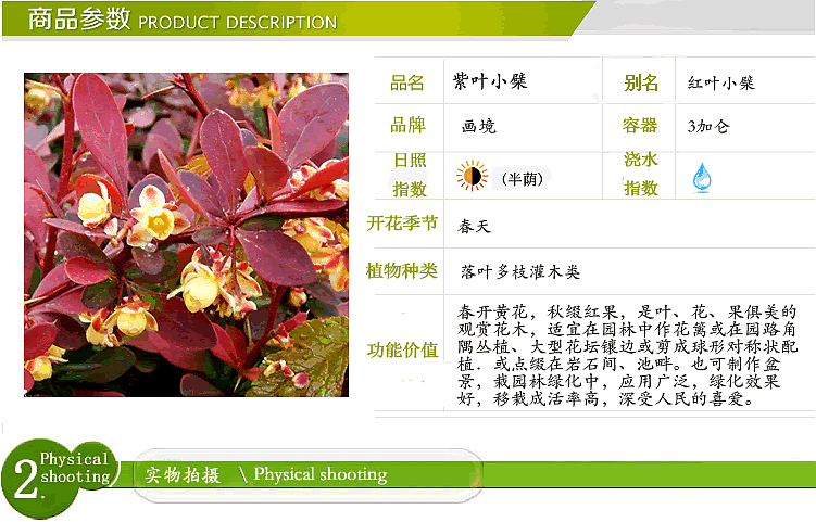 pg电子模拟器(中国)官方网站