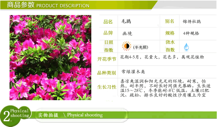 pg电子模拟器(中国)官方网站