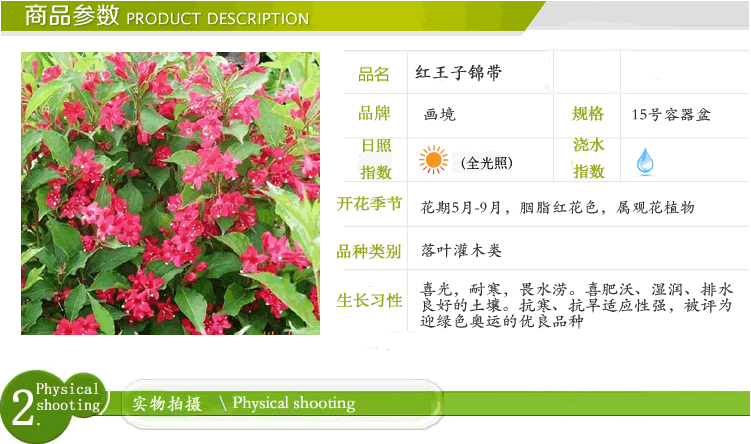 pg电子模拟器(中国)官方网站