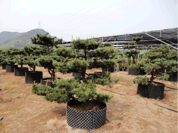 pg电子模拟器(中国)官方网站