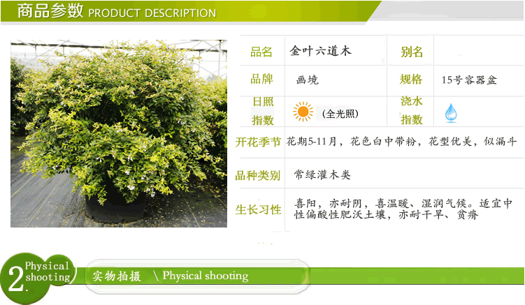 pg电子模拟器(中国)官方网站