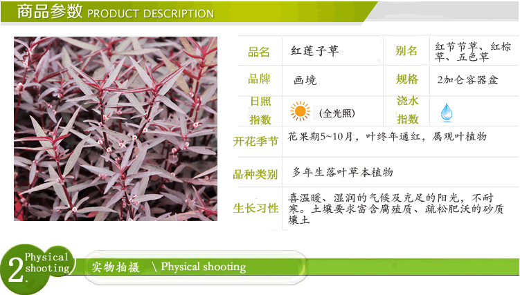 pg电子模拟器(中国)官方网站