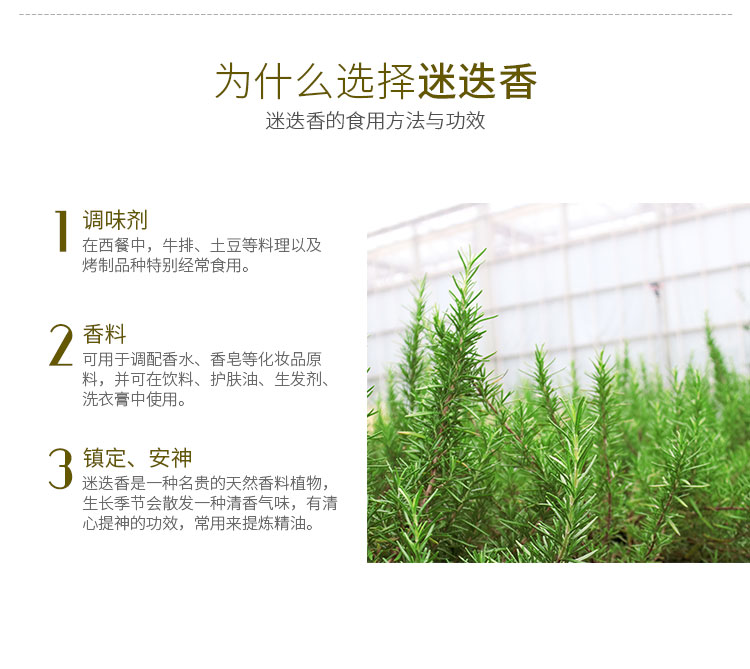 pg电子模拟器(中国)官方网站
