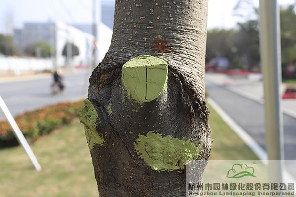 pg电子模拟器(中国)官方网站