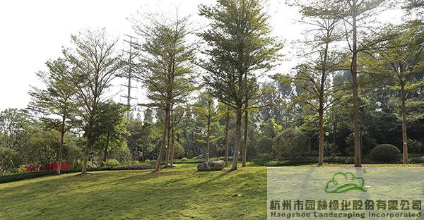 pg电子模拟器(中国)官方网站