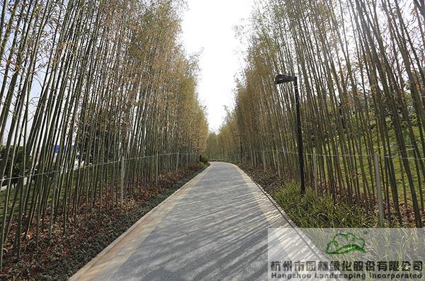 pg电子模拟器(中国)官方网站