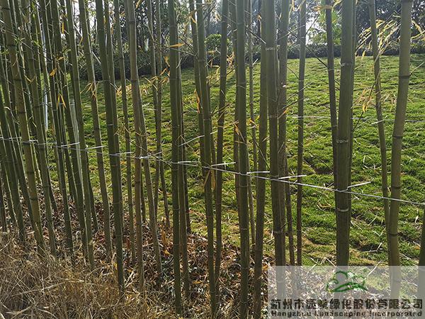 pg电子模拟器(中国)官方网站