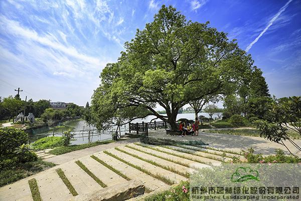 pg电子模拟器(中国)官方网站