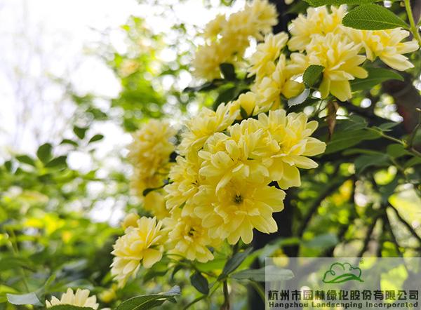 pg电子模拟器(中国)官方网站