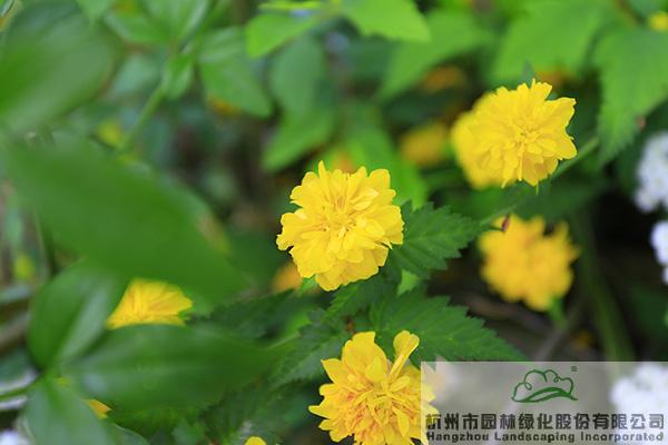 pg电子模拟器(中国)官方网站