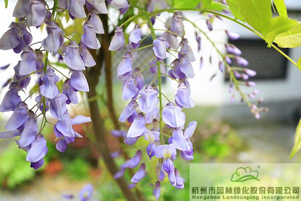 pg电子模拟器(中国)官方网站