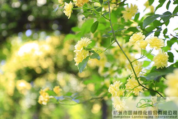 pg电子模拟器(中国)官方网站