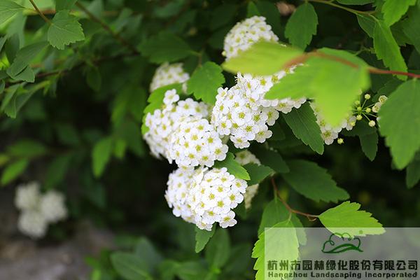 pg电子模拟器(中国)官方网站