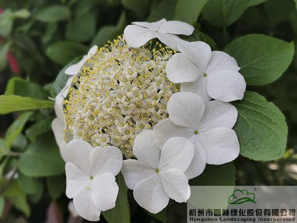 pg电子模拟器(中国)官方网站