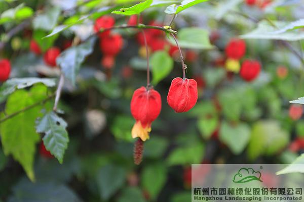 pg电子模拟器(中国)官方网站