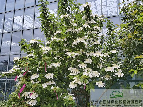 pg电子模拟器(中国)官方网站