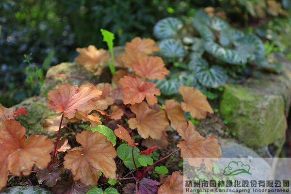pg电子模拟器(中国)官方网站