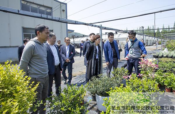 pg电子模拟器(中国)官方网站