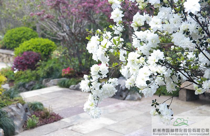 pg电子模拟器(中国)官方网站