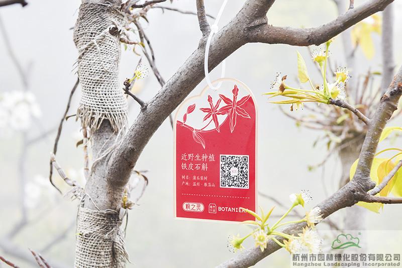 pg电子模拟器(中国)官方网站