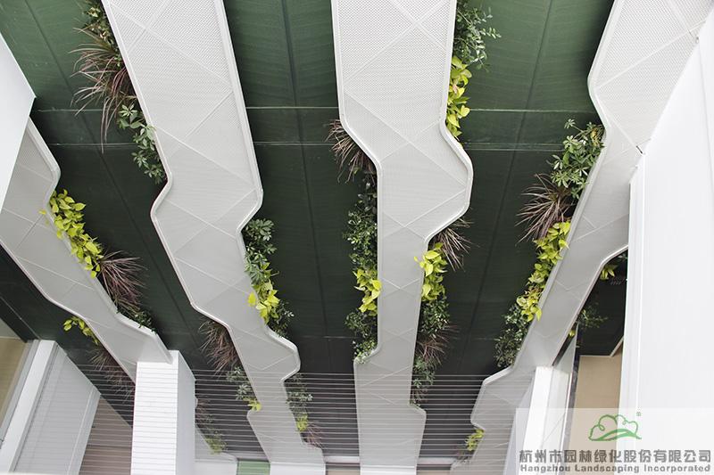 pg电子模拟器(中国)官方网站
