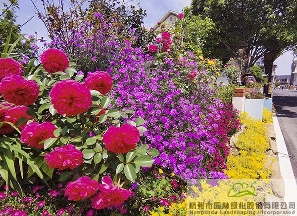 pg电子模拟器(中国)官方网站
