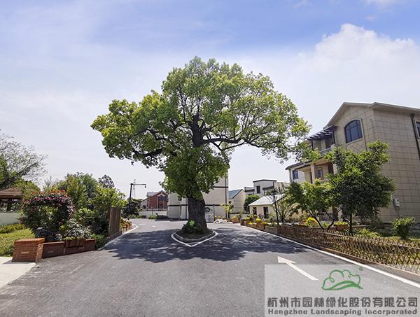 pg电子模拟器(中国)官方网站