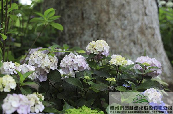 pg电子模拟器(中国)官方网站