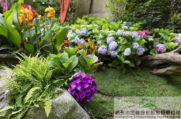 pg电子模拟器(中国)官方网站