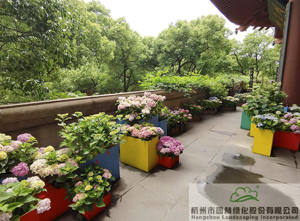 pg电子模拟器(中国)官方网站