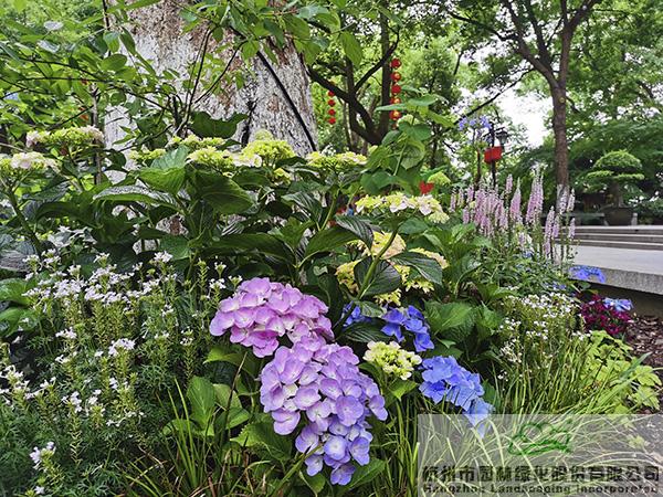 pg电子模拟器(中国)官方网站