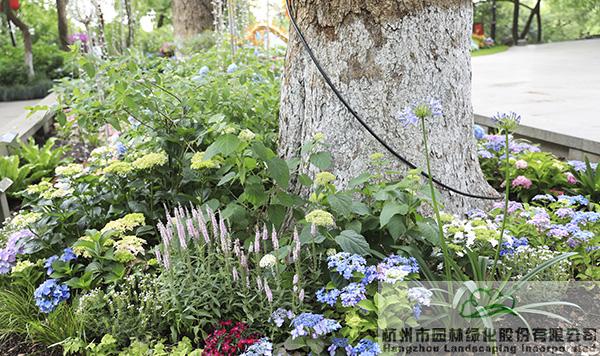 pg电子模拟器(中国)官方网站