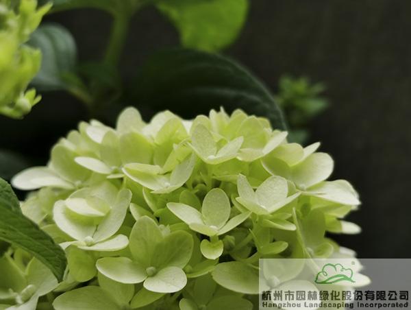 pg电子模拟器(中国)官方网站
