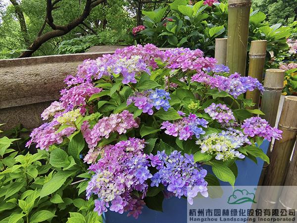 pg电子模拟器(中国)官方网站