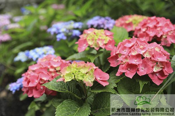 pg电子模拟器(中国)官方网站