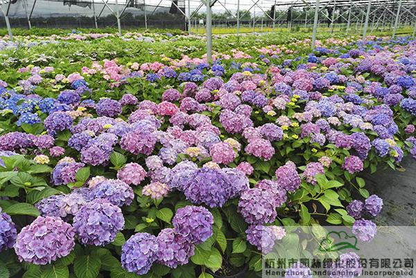 pg电子模拟器(中国)官方网站